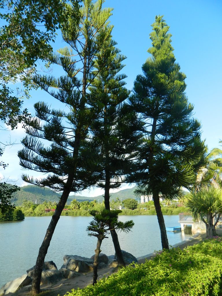 Байлу парк (Bailu Park), город Санья - Китай в фотографиях